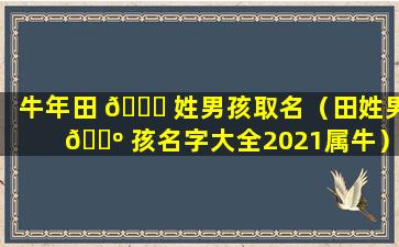 牛年田 💐 姓男孩取名（田姓男 🐺 孩名字大全2021属牛）